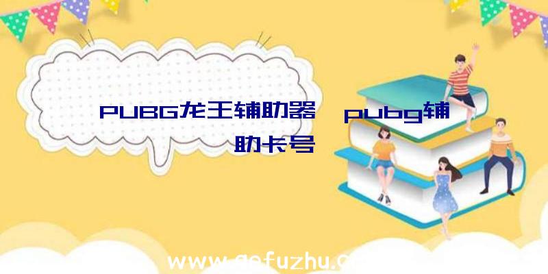 PUBG龙王辅助器、pubg辅助卡号