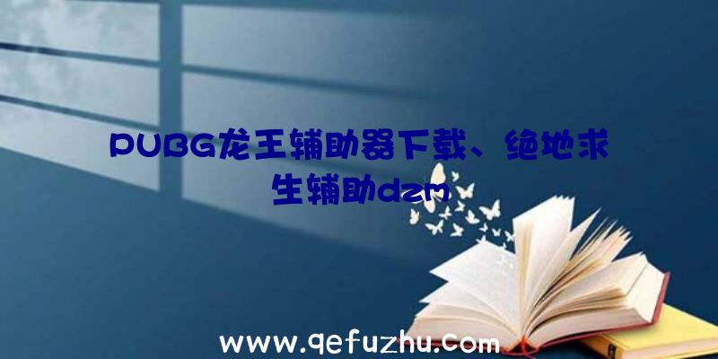 PUBG龙王辅助器下载、绝地求生辅助dzm