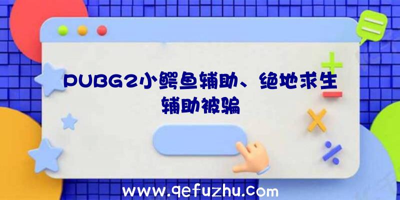 PUBG2小鳄鱼辅助、绝地求生辅助被骗