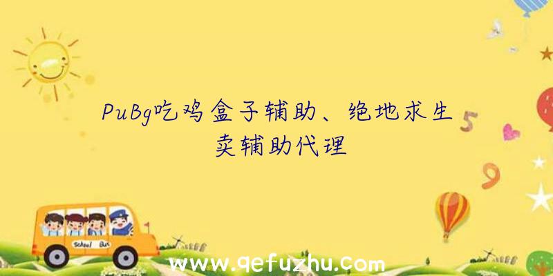 PuBg吃鸡盒子辅助、绝地求生卖辅助代理