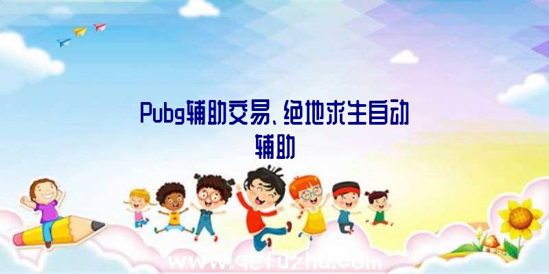 Pubg辅助交易、绝地求生自动辅助