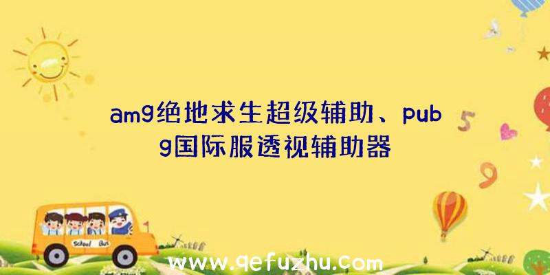 amg绝地求生超级辅助、pubg国际服透视辅助器