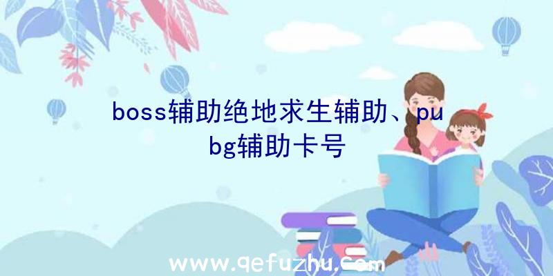 boss辅助绝地求生辅助、pubg辅助卡号