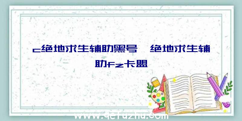 c绝地求生辅助黑号、绝地求生辅助fz卡盟