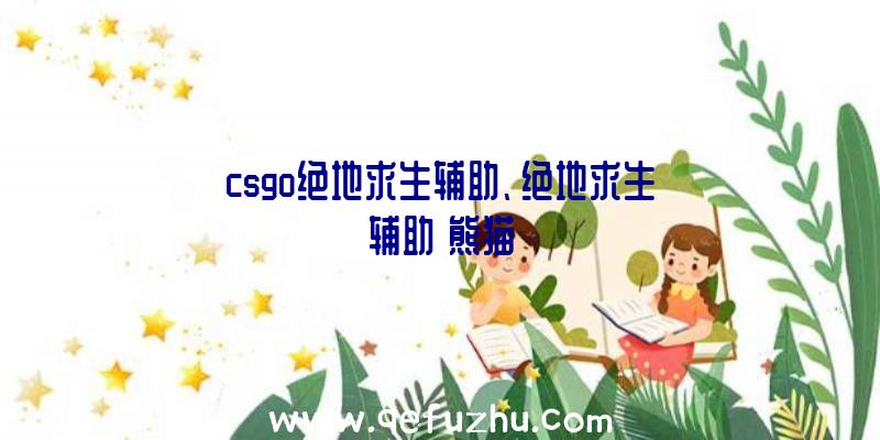 csgo绝地求生辅助、绝地求生辅助