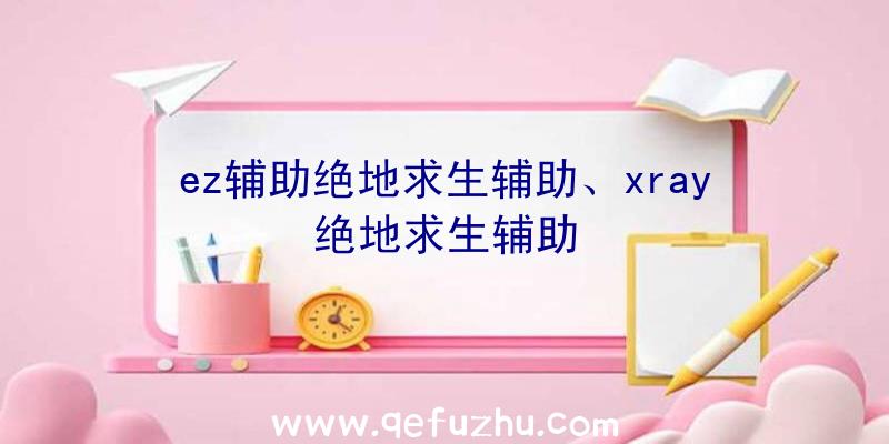 ez辅助绝地求生辅助、xray绝地求生辅助