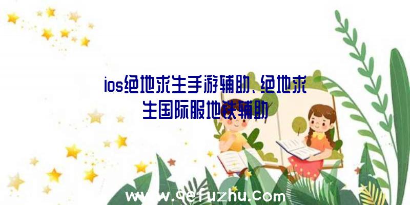 ios绝地求生手游辅助、绝地求生国际服地铁辅助