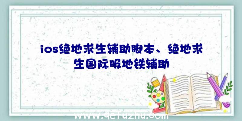 ios绝地求生辅助脚本、绝地求生国际服地铁辅助