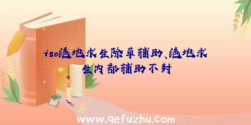 iso绝地求生除草辅助、绝地求生内部辅助不封