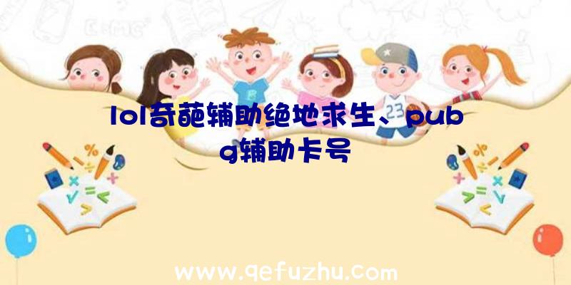 lol奇葩辅助绝地求生、pubg辅助卡号