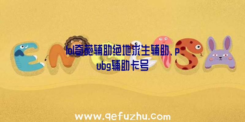 lol奇葩辅助绝地求生辅助、pubg辅助卡号