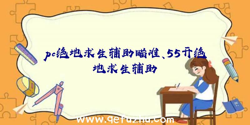 pc绝地求生辅助瞄准、55开绝地求生辅助