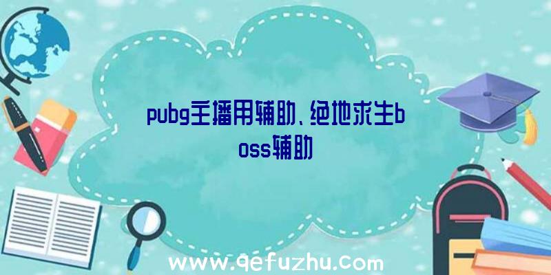 pubg主播用辅助、绝地求生boss辅助