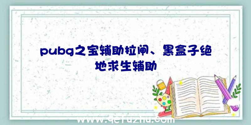 pubg之宝辅助拉闸、黑盒子绝地求生辅助