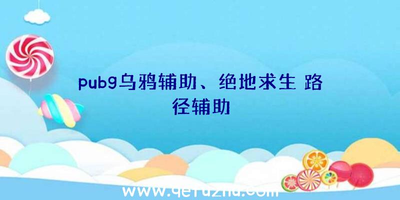 pubg乌鸦辅助、绝地求生