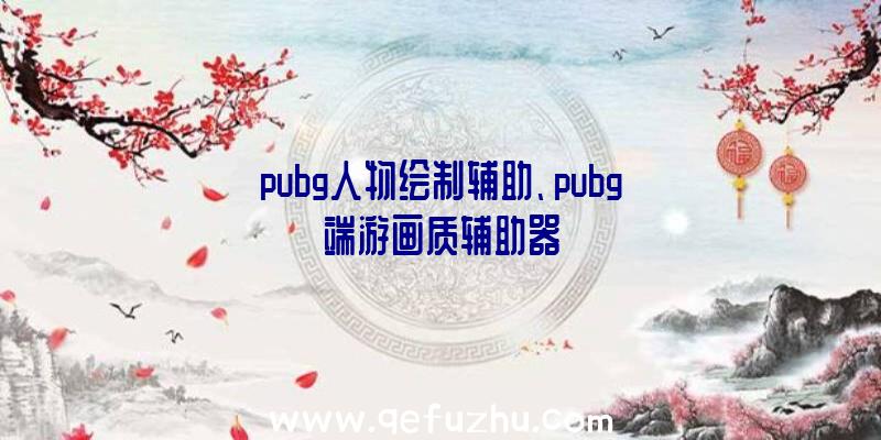 pubg人物绘制辅助、pubg端游画质辅助器