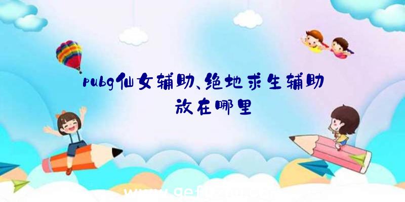 pubg仙女辅助、绝地求生辅助