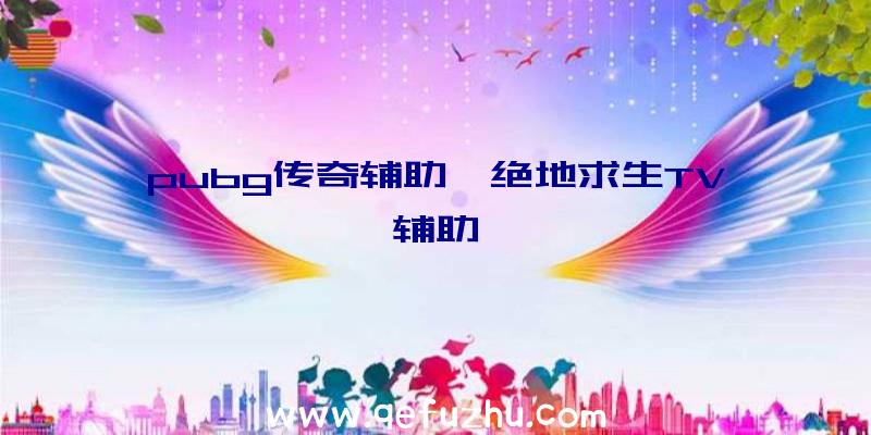 pubg传奇辅助、绝地求生TV辅助