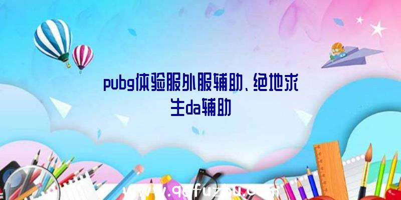 pubg体验服外服辅助、绝地求生da辅助