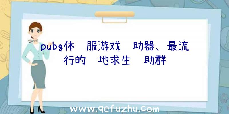 pubg体验服游戏辅助器、最流行的绝地求生辅助群