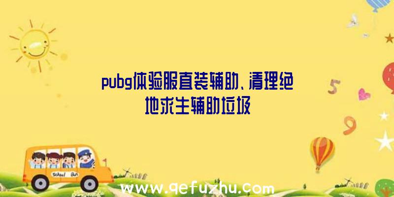 pubg体验服直装辅助、清理绝地求生辅助垃圾