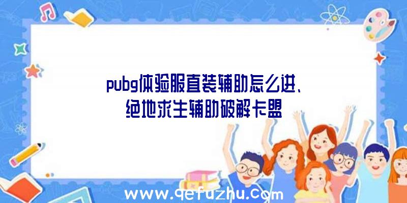 pubg体验服直装辅助怎么进、绝地求生辅助破解卡盟