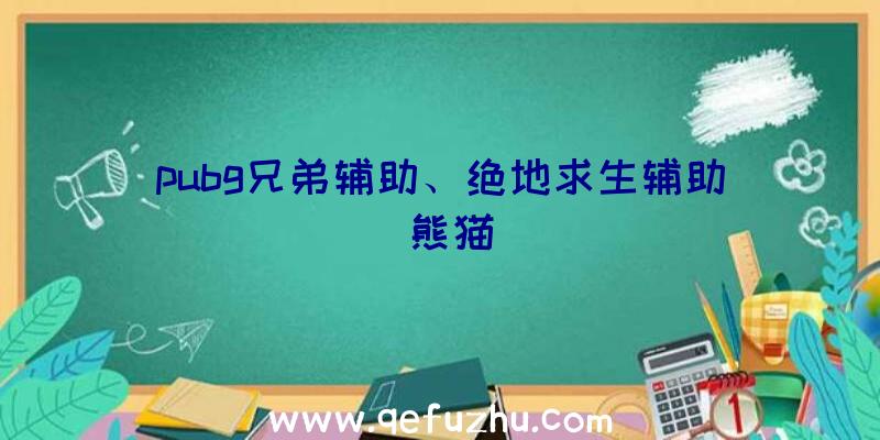 pubg兄弟辅助、绝地求生辅助