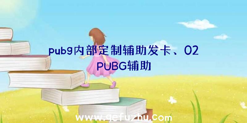 pubg内部定制辅助发卡、02PUBG辅助