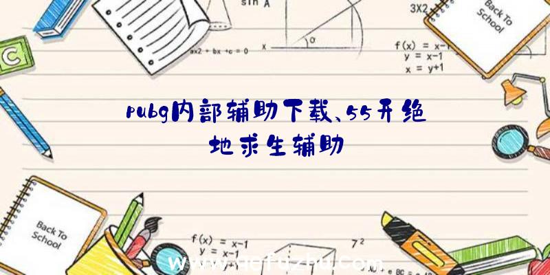 pubg内部辅助下载、55开绝地求生辅助