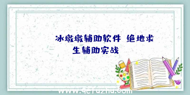 pubg冰墩墩辅助软件、绝地求生辅助实战