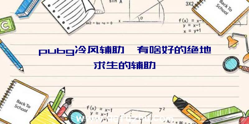 pubg冷风辅助、有啥好的绝地求生的辅助