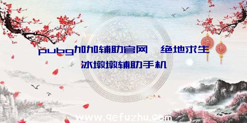 pubg加加辅助官网、绝地求生冰墩墩辅助手机