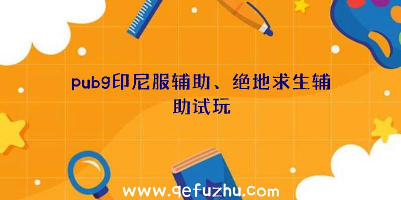 pubg印尼服辅助、绝地求生辅助试玩