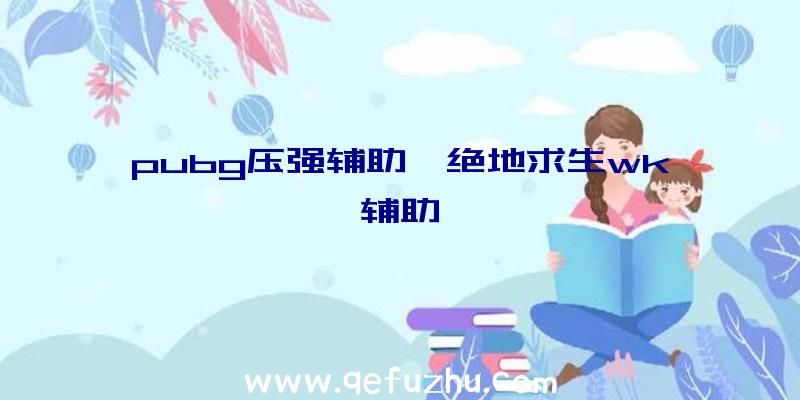 pubg压强辅助、绝地求生wk辅助