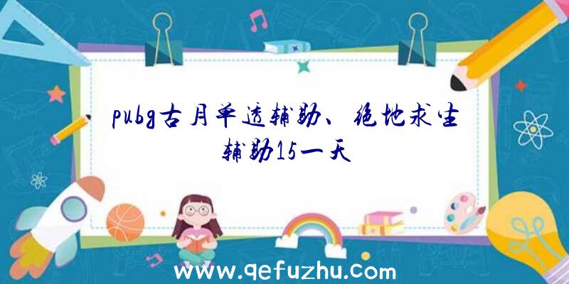 pubg古月单透辅助、绝地求生辅助15一天