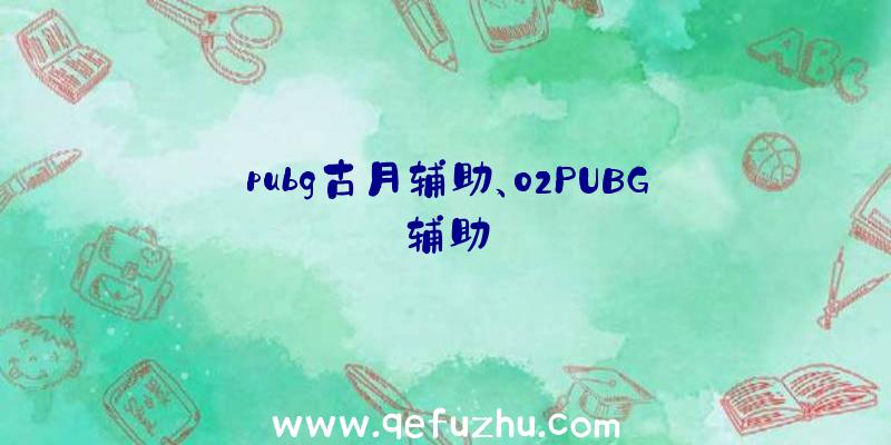 pubg古月辅助、02PUBG辅助