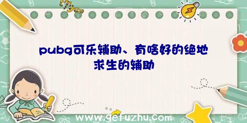 pubg可乐辅助、有啥好的绝地求生的辅助