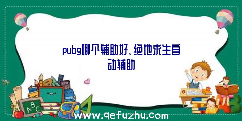 pubg哪个辅助好、绝地求生自动辅助