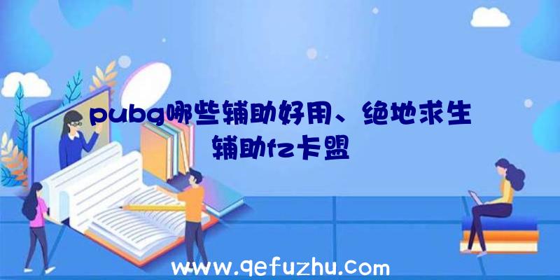 pubg哪些辅助好用、绝地求生辅助fz卡盟