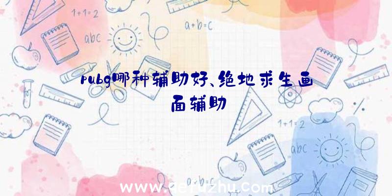 pubg哪种辅助好、绝地求生画面辅助