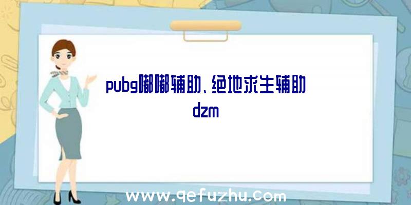 pubg嘟嘟辅助、绝地求生辅助dzm