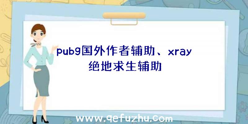 pubg国外作者辅助、xray绝地求生辅助