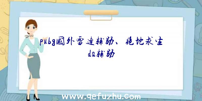 pubg国外雷达辅助、绝地求生da辅助