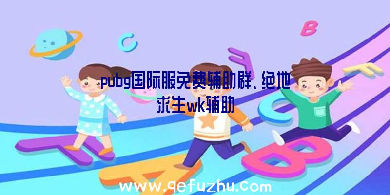 pubg国际服免费辅助群、绝地求生wk辅助