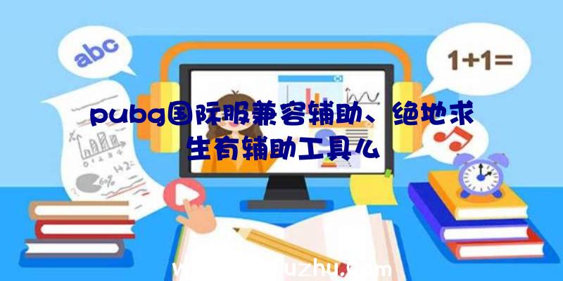 pubg国际服兼容辅助、绝地求生有辅助工具么