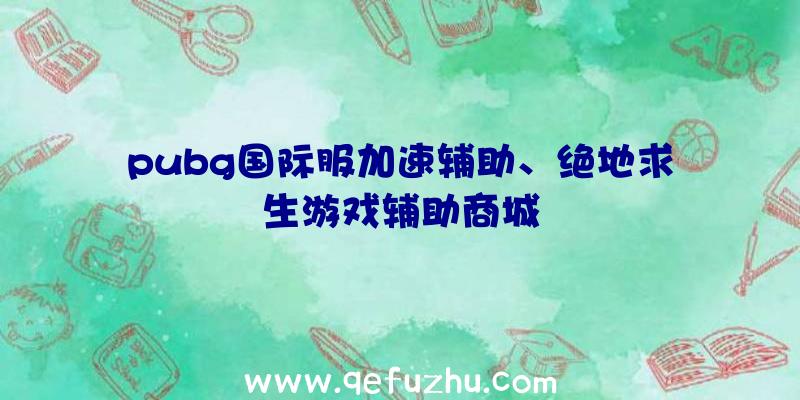 pubg国际服加速辅助、绝地求生游戏辅助商城