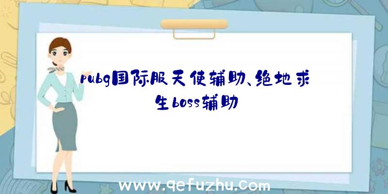 pubg国际服天使辅助、绝地求生boss辅助