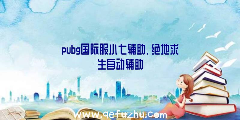 pubg国际服小七辅助、绝地求生自动辅助