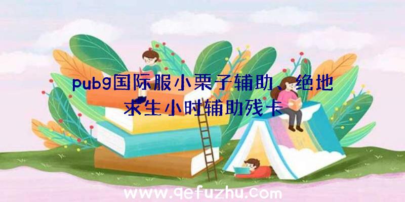 pubg国际服小栗子辅助、绝地求生小时辅助残卡