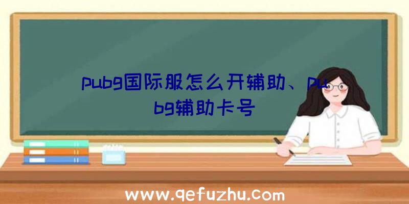 pubg国际服怎么开辅助、pubg辅助卡号